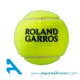 Pelotas de Tenis Wilson ROLAND GARROS CLAY B-4