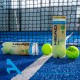 Pelotas de Padel Head PADEL PRO S+